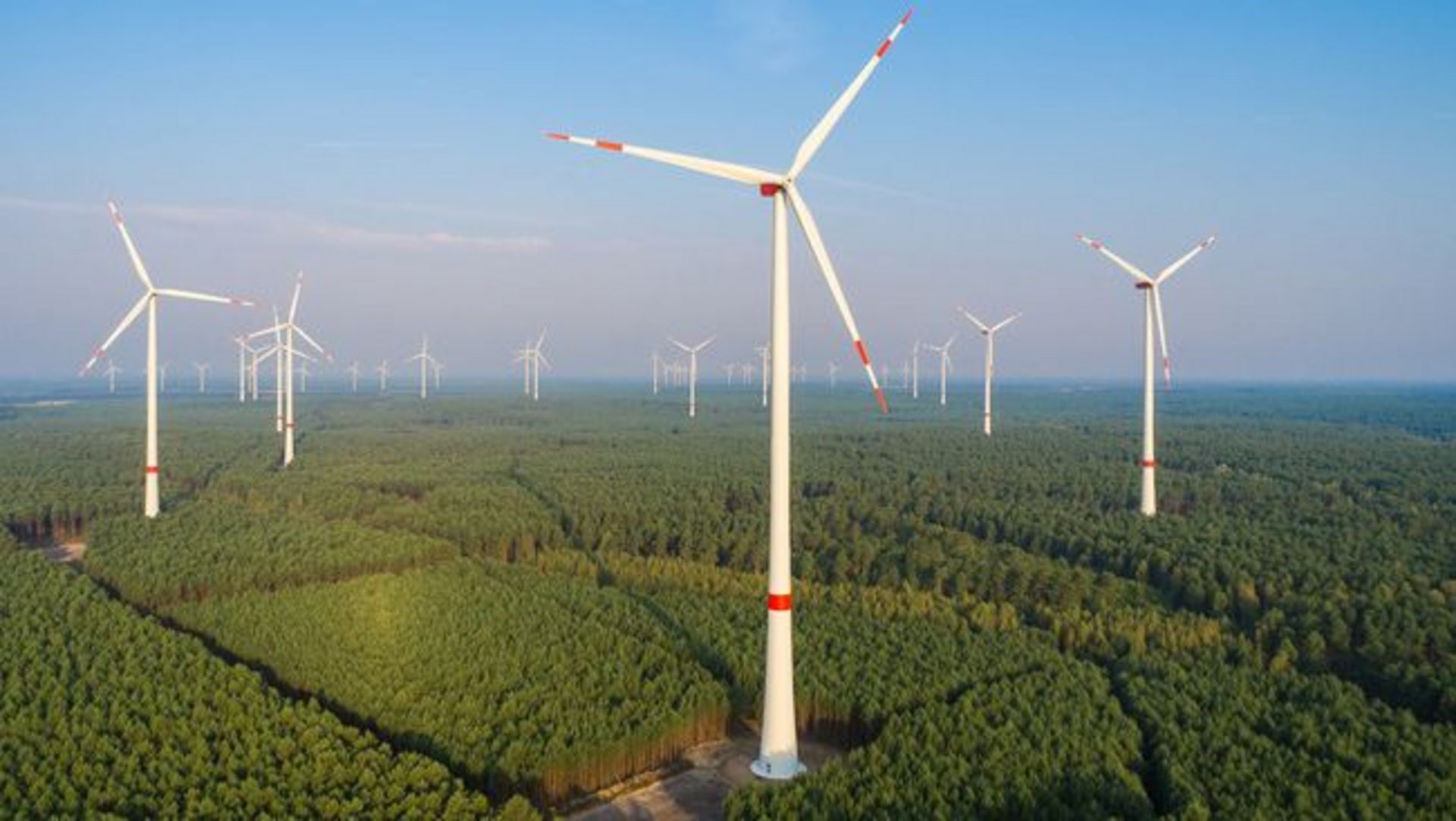 Windkraftanlagen im Wald.