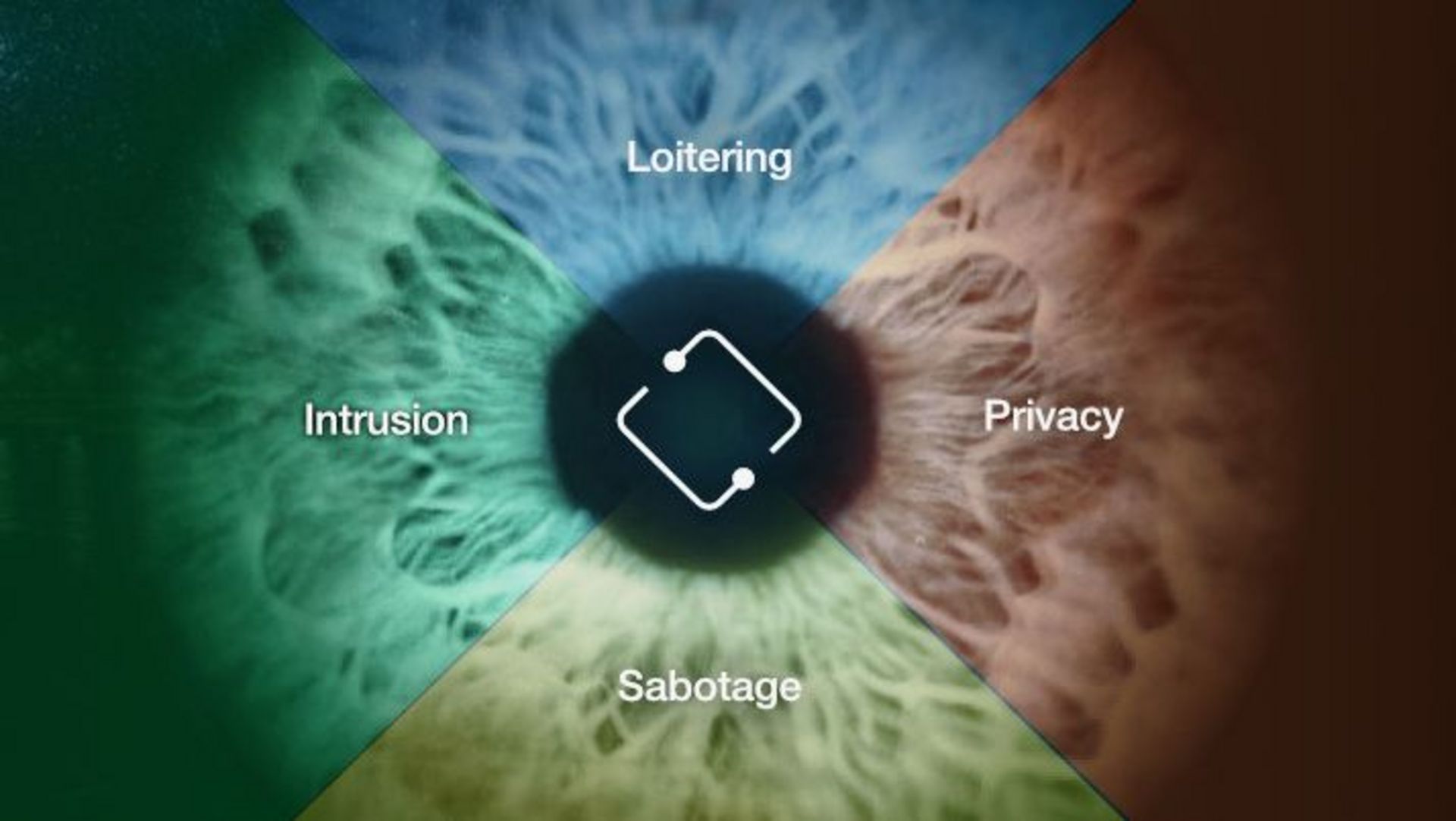 Das IPS Logo wird von vier grundlegenden Funktion umkreist. (Loitering, Privacy, Sabotage, Intrusiton)